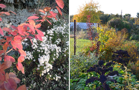 Herbst im Garten Herbst im Garten
