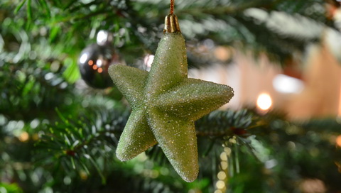 Weihnachtsstern Weihnachtsstern