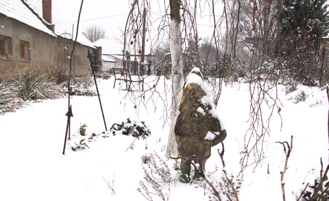 Schneezwerg Schneezwerg