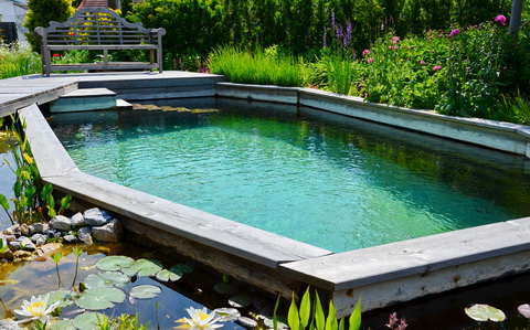 Naturpool im Schaugarten Naturpool im Schaugarten