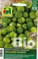 Preview: Sprossenkohl, Rosenkohl Groninger - Bio