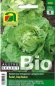 Preview: Salat, Kopfsalat Admiral - Bio