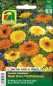 Preview: Ringelblume Fiesta Gitana Prachtmischung (Calendula officinalis)