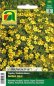 Preview: Studentenblume Golden Gem (Tagetes tenuifolia)