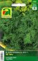 Preview: Dill Tetra (Anethum graveolens)