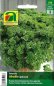 Preview: Petersilie Afrodite (Petroselinum crispum)