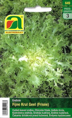 Endivie Fijne Krul Geel (Frisée)