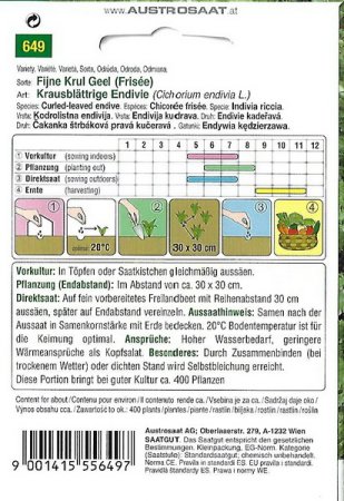 Endivie Fijne Krul Geel (Frisée)
