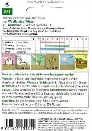 Grünkohl, Krauskohl Westlandse Winter