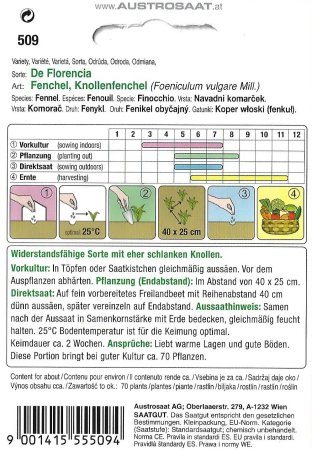Knollenfenchel De Florencia