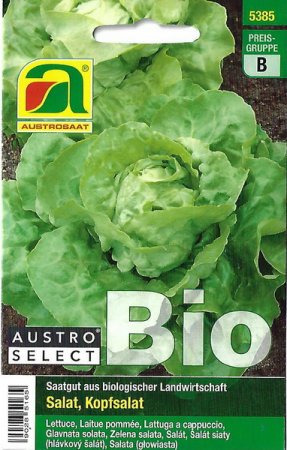 Salat, Kopfsalat Admiral - Bio