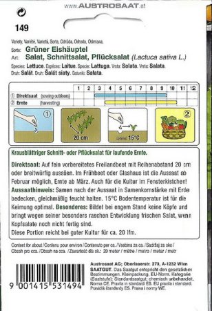 Salat, Schnittsalat, Pflücksalat Grüner Eishäuptel