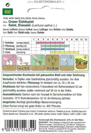 Eissalat Grazer Eishäuptel