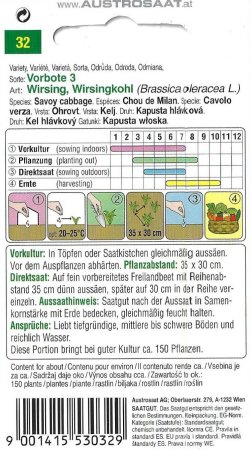 Wirsingkohl Vorbote 3