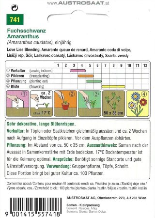 Fuchsschwanz - Amaranthus caudatus