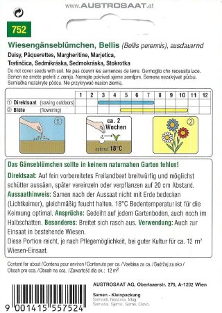 Wiesengänseblümchen (Bellis perennis)