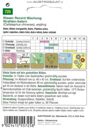 Sommer-Astern Riesen Record Mischung