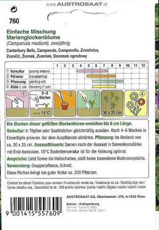 Marienglockenblume Einfache Mischung (Campanula medium)