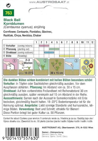 Kornblume Black Ball (Centaurea cyanus)
