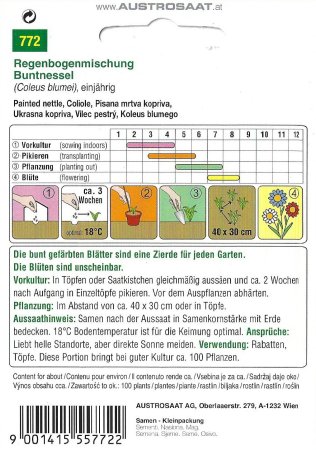 Buntnessel Regenbogenmischung (Coleus blumei)