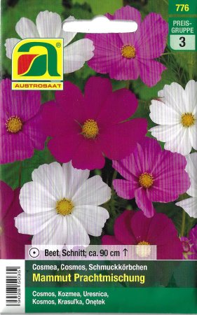 Cosmea Mammut Prachtmischung (Cosmos bipinnatus)