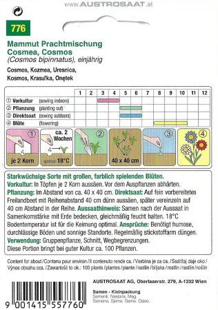 Cosmea Mammut Prachtmischung (Cosmos bipinnatus)