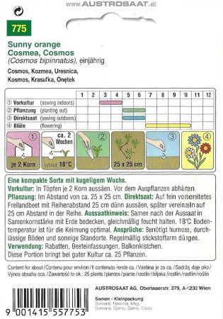Cosmea Sunny Orange (Cosmos bipinnatus)