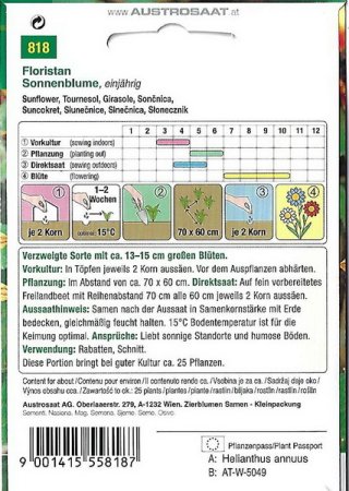 Sonnenblume Floristan (Helianthus annuus)
