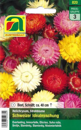 Strohblume Schweizer Idealmischung (Helichrysum bracteatum)