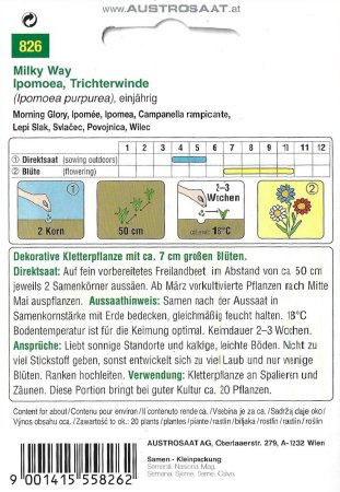 Trichterwinde Milky Way (Ipomoea purpurea)