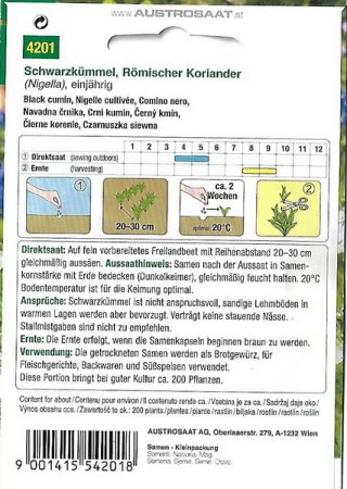 Schwarzkümmel (Nigella sativa)