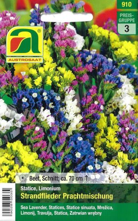 Strandflieder, Statice Prachtmischung (Limonium)