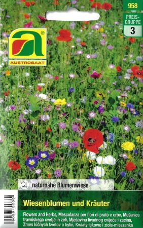 Naturnahe Blumenwiese - Wiesenblumen und Kräuter