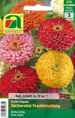 Zinnie Gärtnerstolz Prachtmischung (Zinnia elegans)