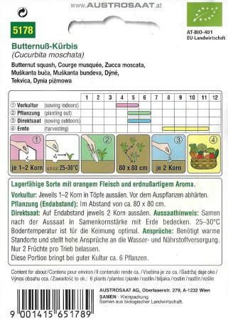 Butternuß-Kürbis - Bio