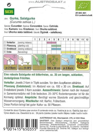 Salatgurke Marketmore - Bio