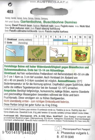 Buschbohne 'Domino'