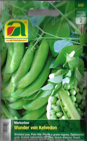 Markerbse Wunder von Kelvedon