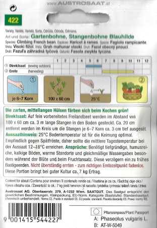 Stangenbohne Blauhilde