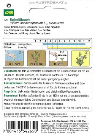 Schnittlauch (Allium schoenoprasum)