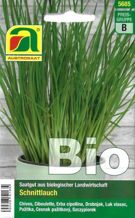 Schnittlauch (Allium schoenoprasum) - Bio