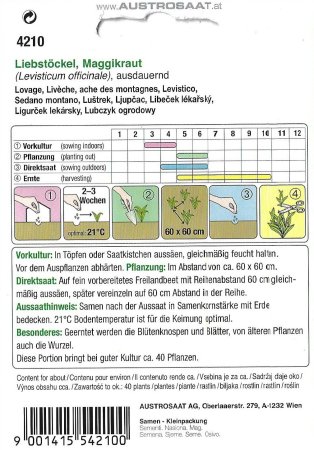 Liebstöckel, Maggikraut (Levisticum officinale)