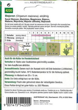 Majoran (Orignaum majorana)