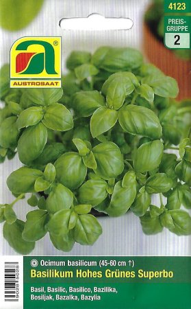 Basilikum Hohes Grünes Superbo (Ocimum basilicum)