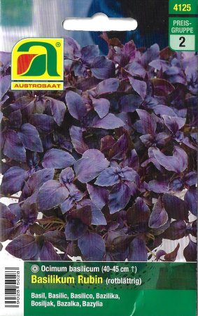Basilikum Rubin (Ocimum basilicum)