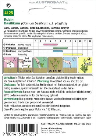 Basilikum Rubin (Ocimum basilicum)