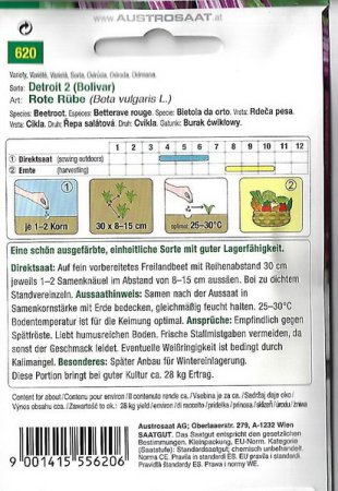 Rote Rübe Detroit 2 (Bolivar)
