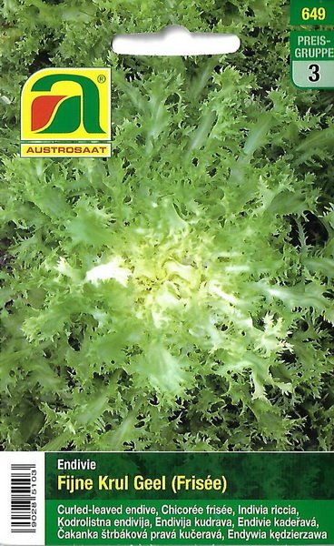 Endivie Fijne Krul Geel (Frisée)