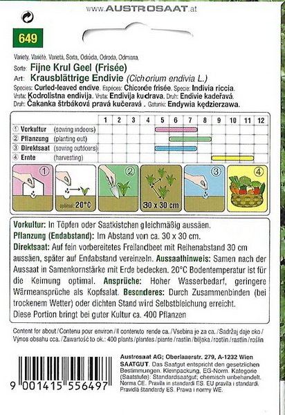 Endivie Fijne Krul Geel (Frisée)