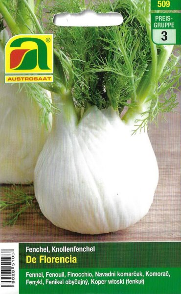 Knollenfenchel De Florencia